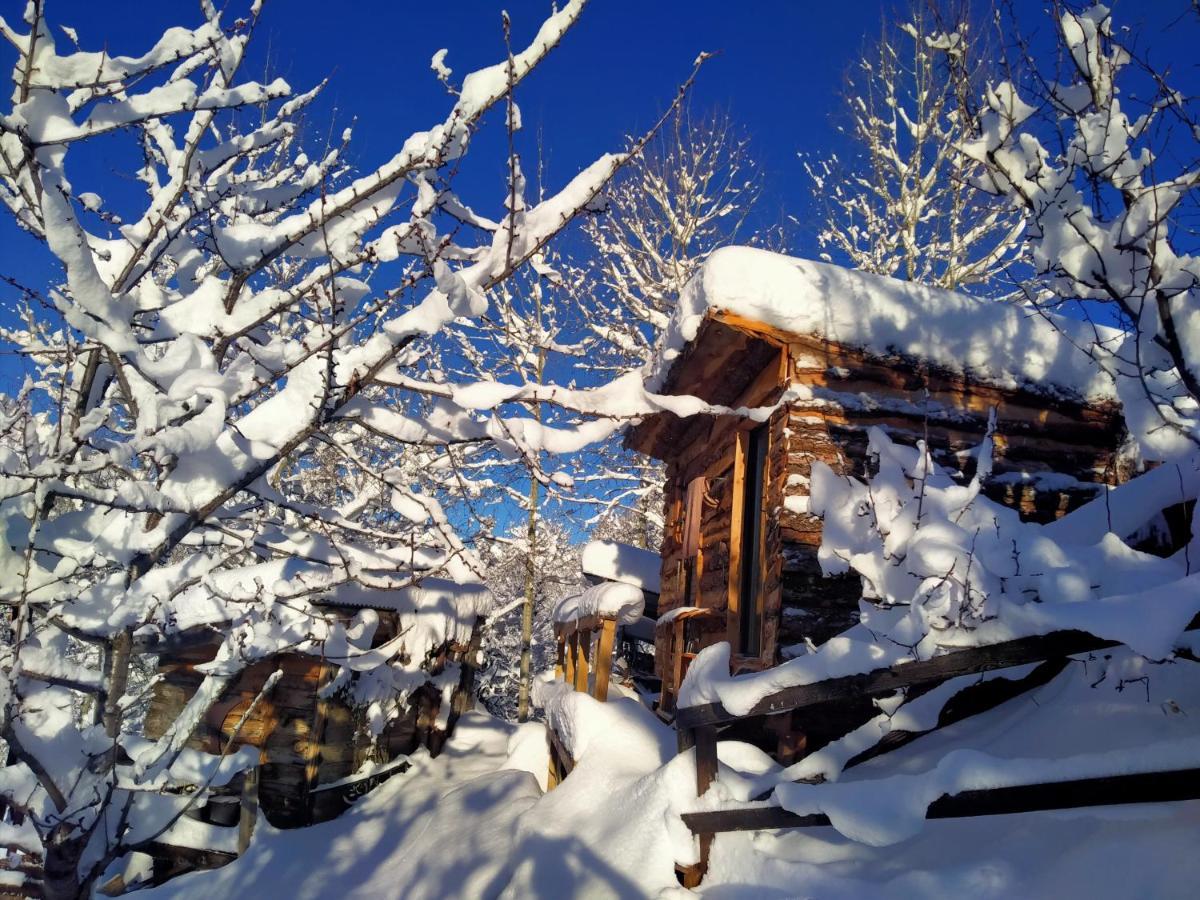 Bed and Breakfast Les Toits Rouges - Le luxe de la simplicité au bout du sentier à Saint-Étienne-de-Tinée Extérieur photo
